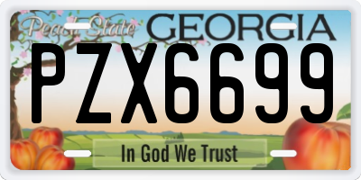 GA license plate PZX6699