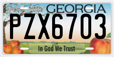 GA license plate PZX6703