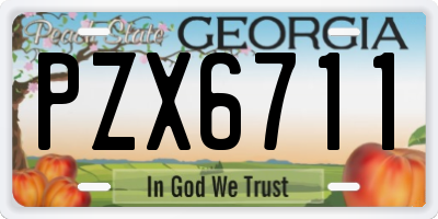 GA license plate PZX6711