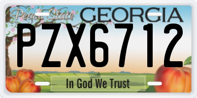 GA license plate PZX6712