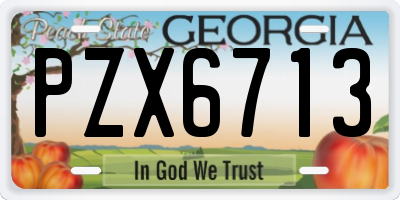 GA license plate PZX6713