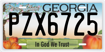 GA license plate PZX6725