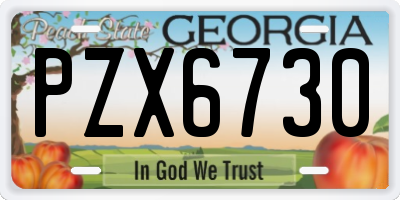 GA license plate PZX6730