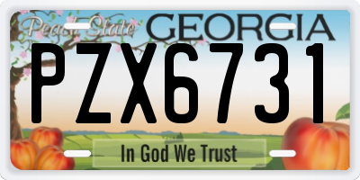 GA license plate PZX6731