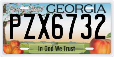 GA license plate PZX6732