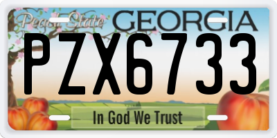 GA license plate PZX6733