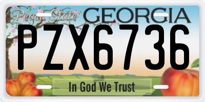 GA license plate PZX6736