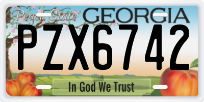 GA license plate PZX6742