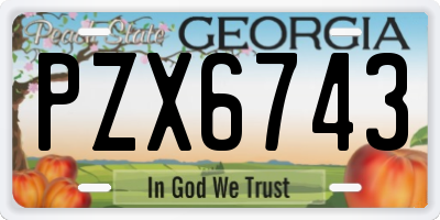 GA license plate PZX6743