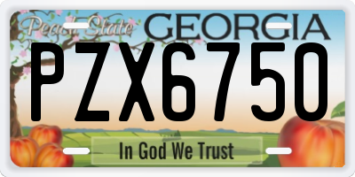 GA license plate PZX6750