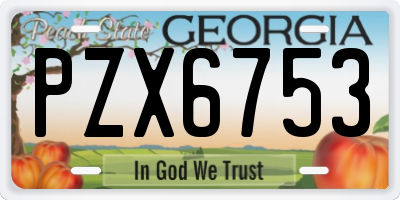 GA license plate PZX6753