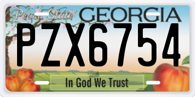 GA license plate PZX6754