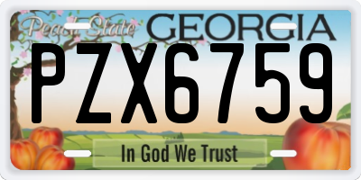 GA license plate PZX6759
