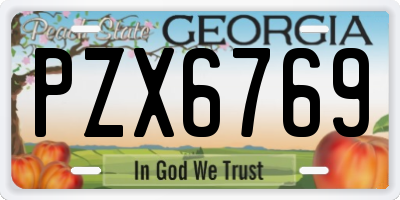 GA license plate PZX6769