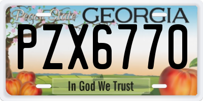 GA license plate PZX6770