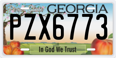 GA license plate PZX6773