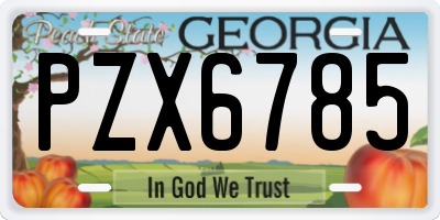 GA license plate PZX6785