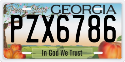 GA license plate PZX6786