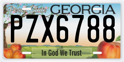 GA license plate PZX6788