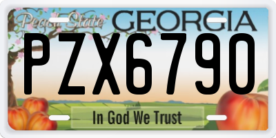 GA license plate PZX6790