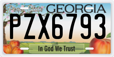 GA license plate PZX6793