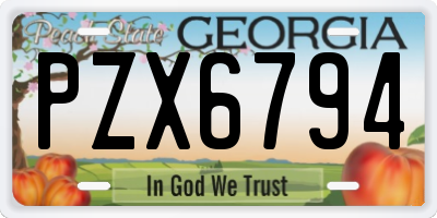 GA license plate PZX6794
