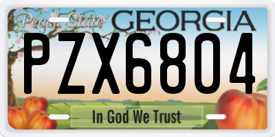 GA license plate PZX6804