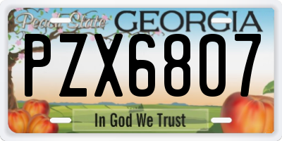 GA license plate PZX6807