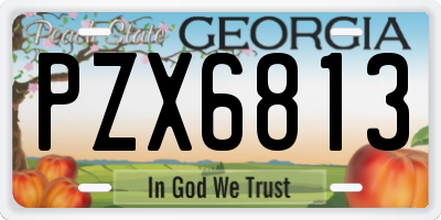 GA license plate PZX6813