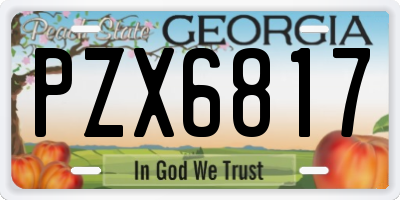 GA license plate PZX6817