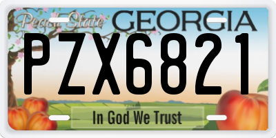GA license plate PZX6821