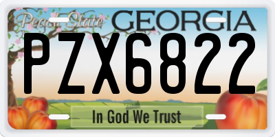 GA license plate PZX6822