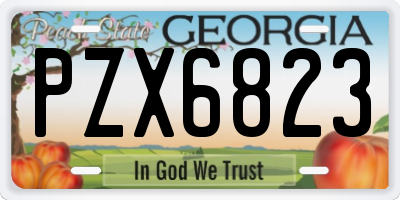 GA license plate PZX6823