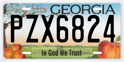 GA license plate PZX6824