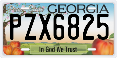 GA license plate PZX6825