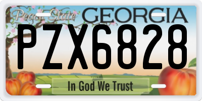 GA license plate PZX6828