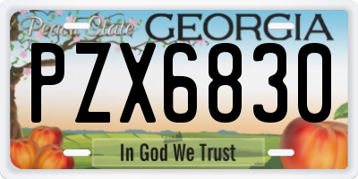 GA license plate PZX6830