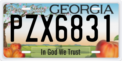 GA license plate PZX6831