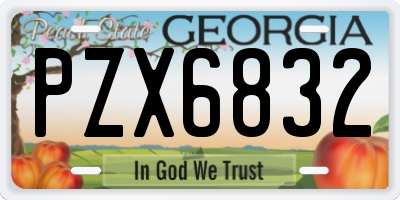 GA license plate PZX6832