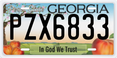 GA license plate PZX6833