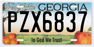 GA license plate PZX6837