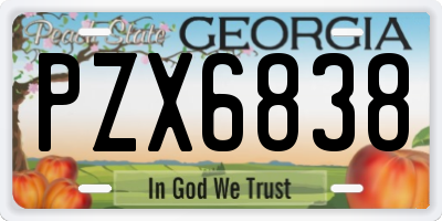 GA license plate PZX6838
