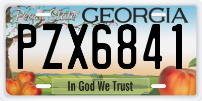 GA license plate PZX6841