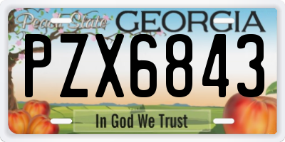 GA license plate PZX6843