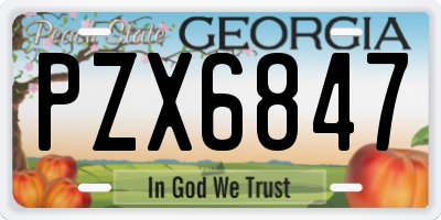 GA license plate PZX6847