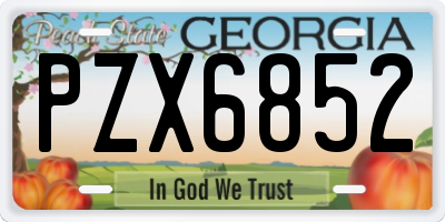 GA license plate PZX6852