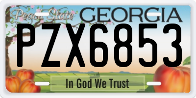 GA license plate PZX6853