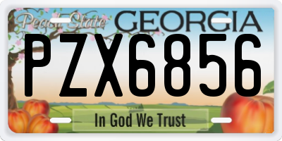 GA license plate PZX6856