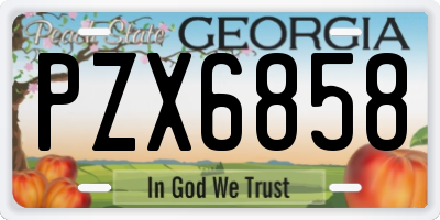 GA license plate PZX6858