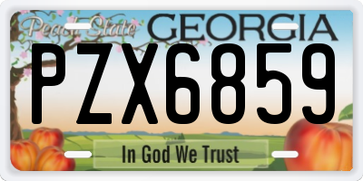 GA license plate PZX6859